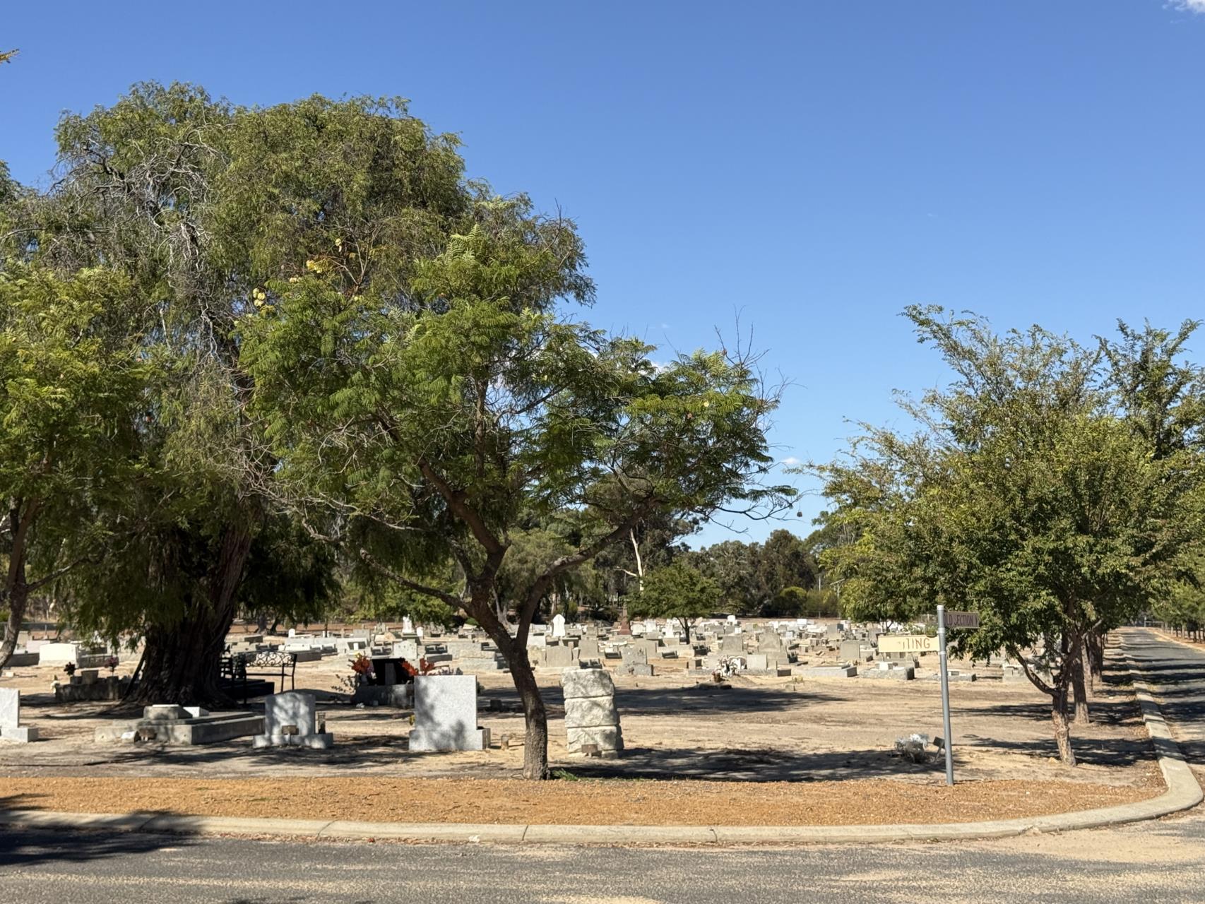 Cemetery 1