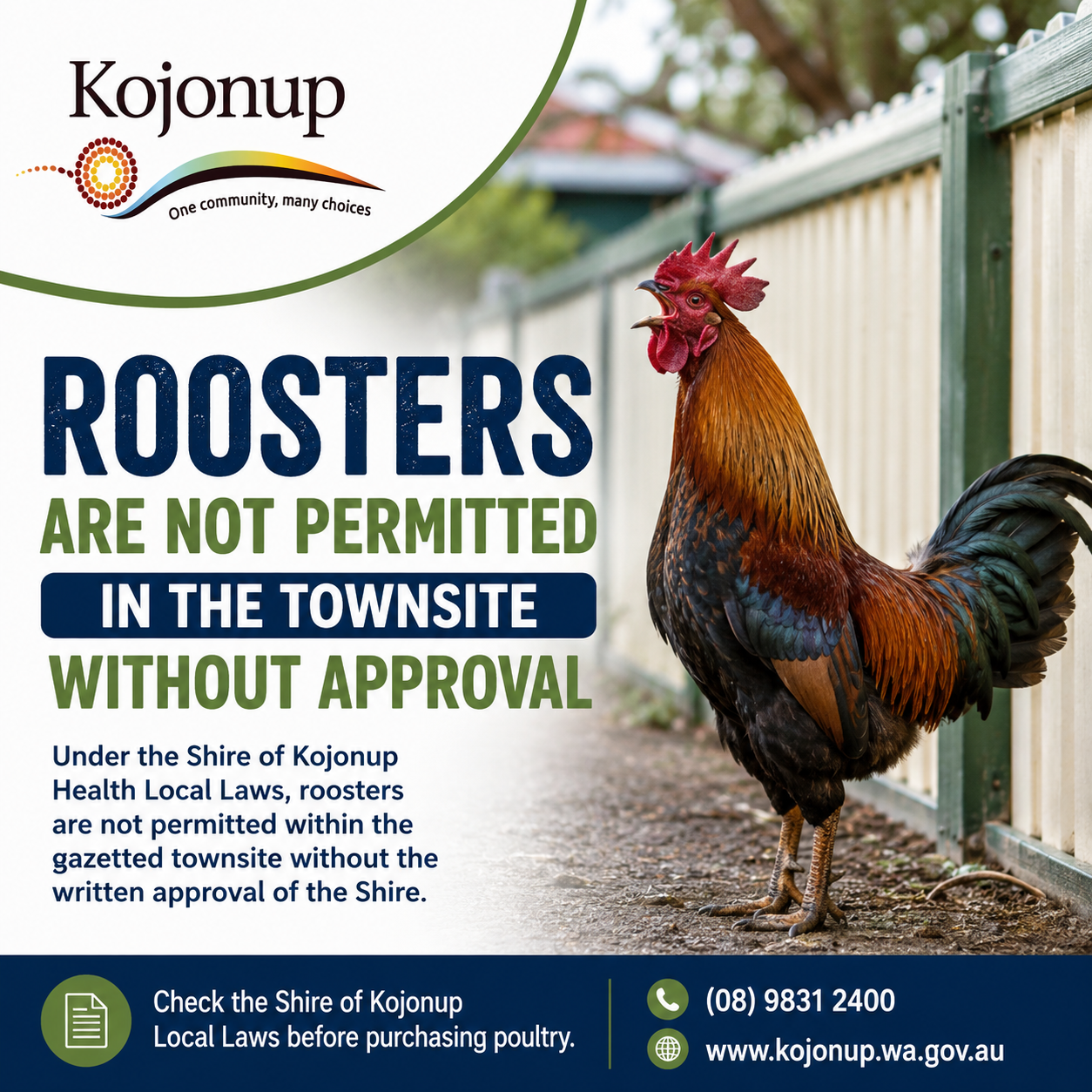 Roosters