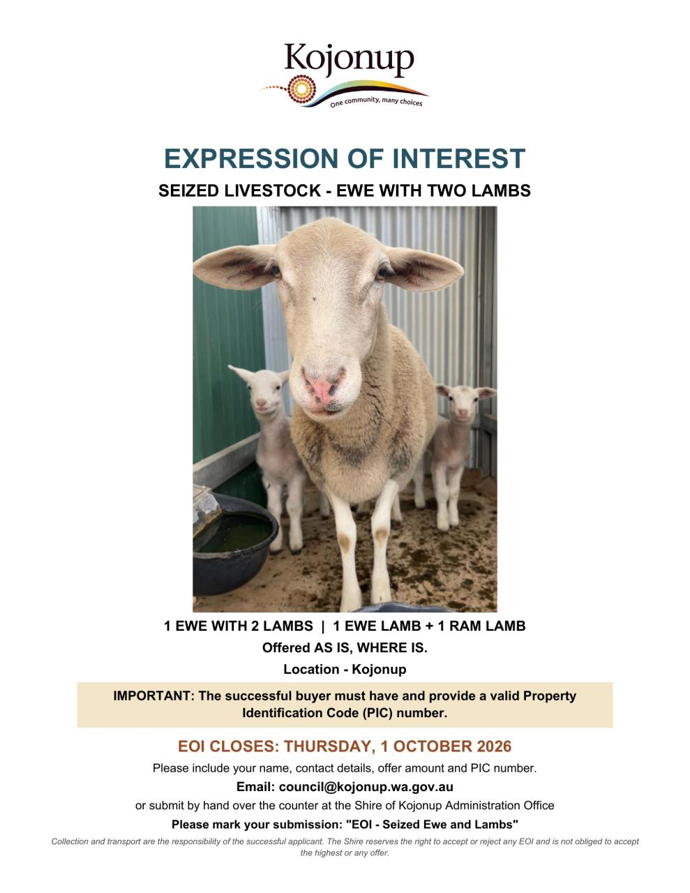 EXPRESSION OF INTEREST: EWE WITH TWO LAMBS